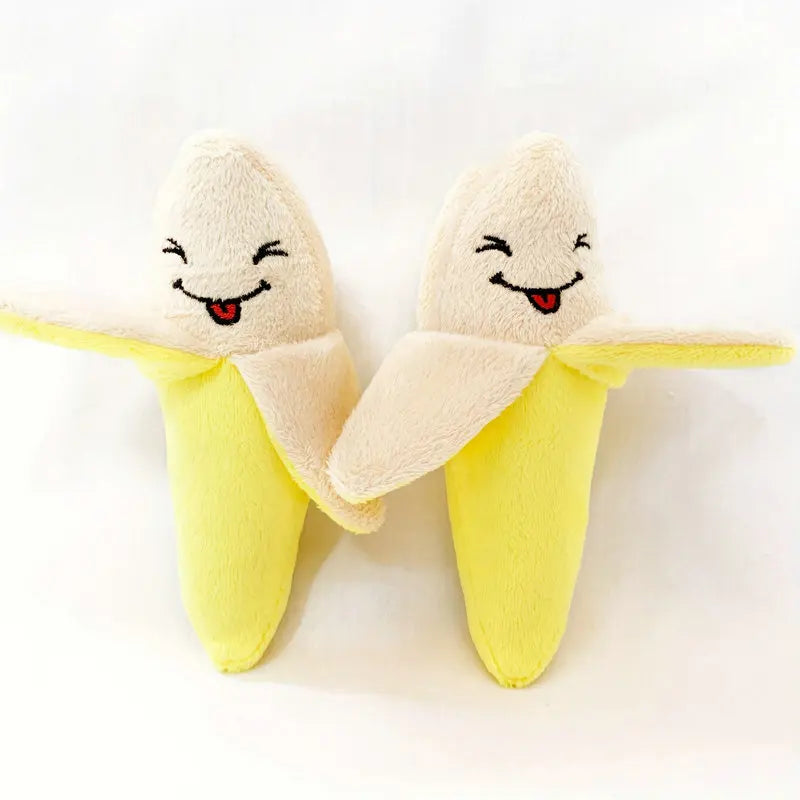 10PCS Puppy Chew Toys