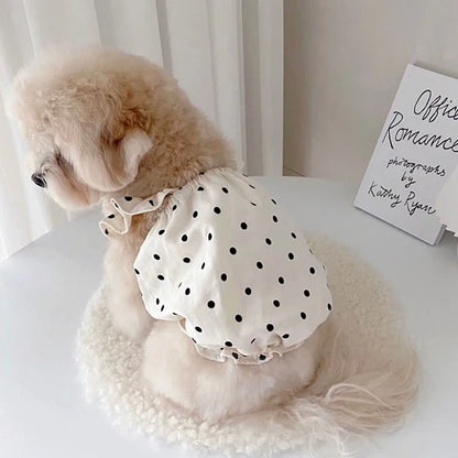 Luxury Dog Dress