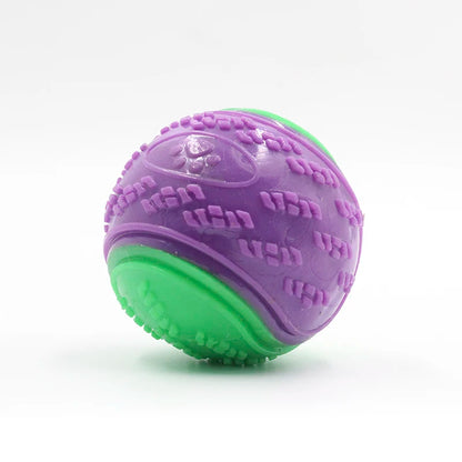 TPR Squeaky Dog Ball