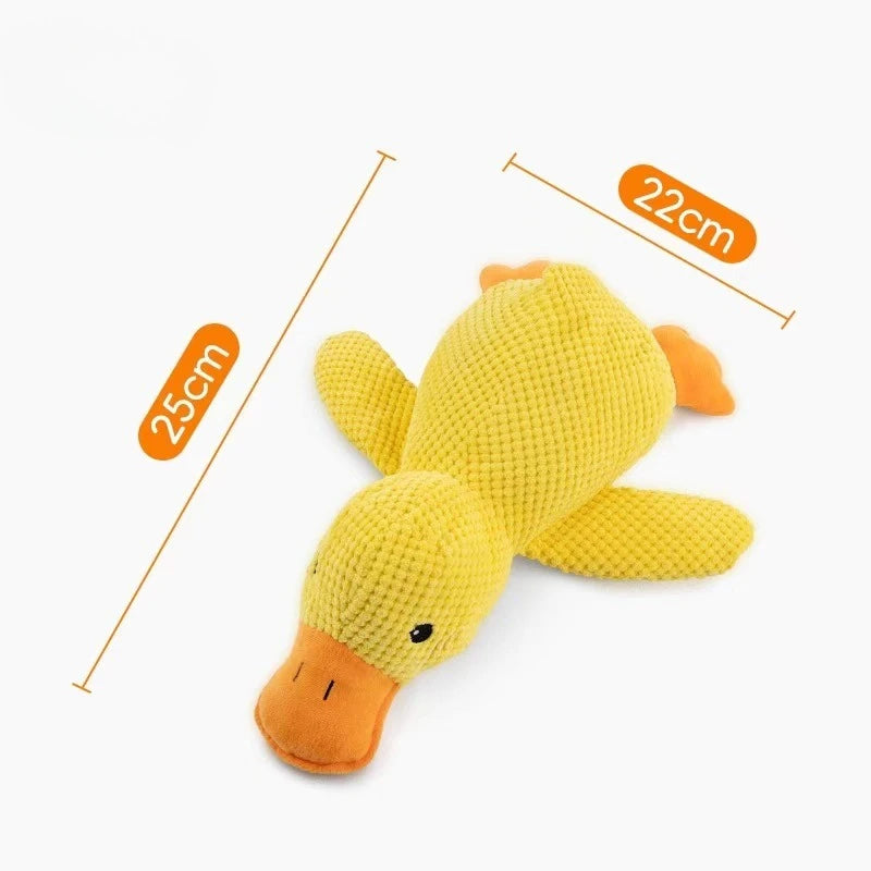 Plush Squeaky Pet Toy
