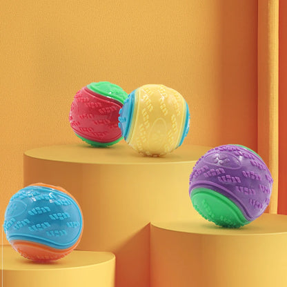 TPR Squeaky Dog Ball