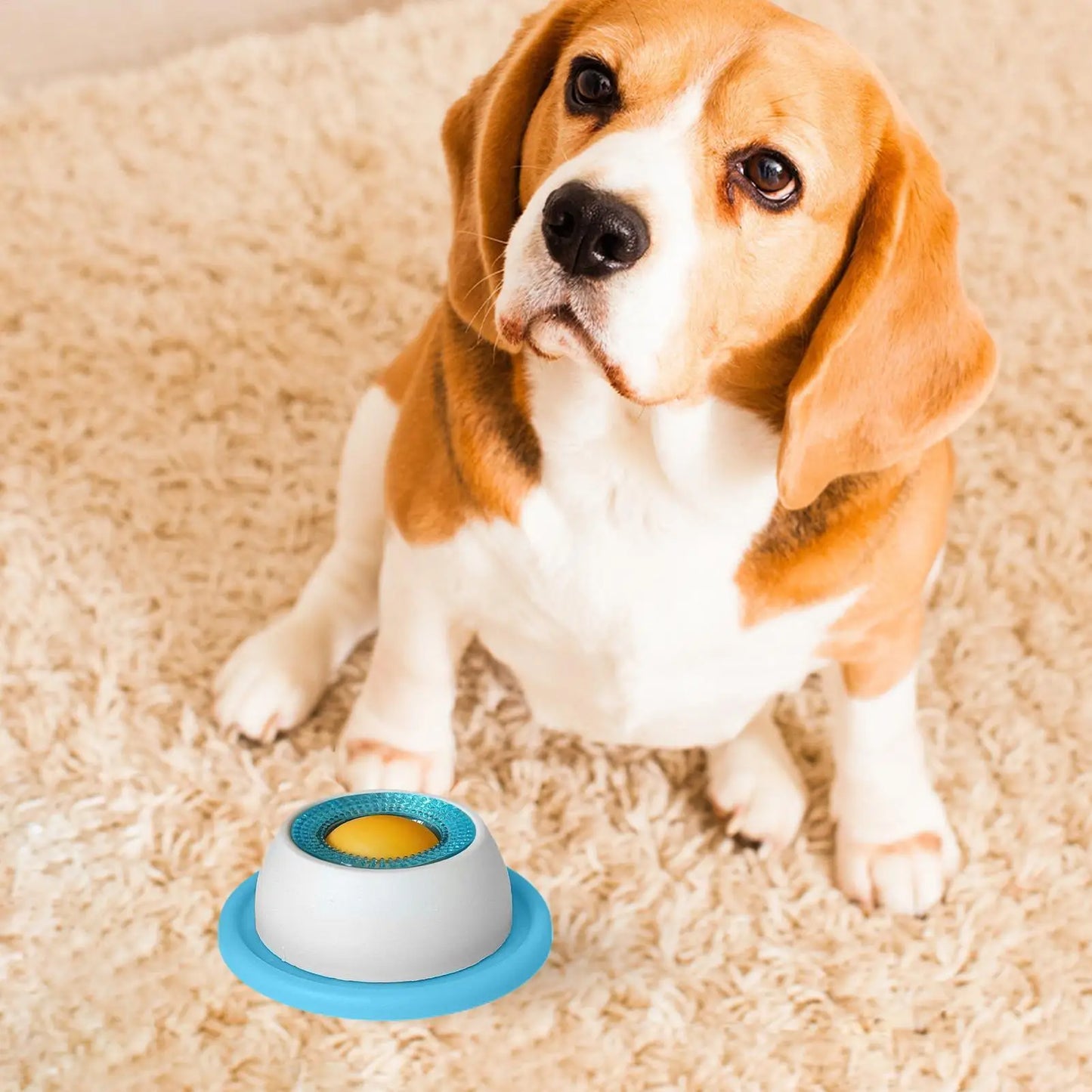 Pet Treat Puzzle Toy