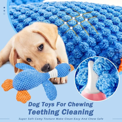 Plush Squeaky Pet Toy