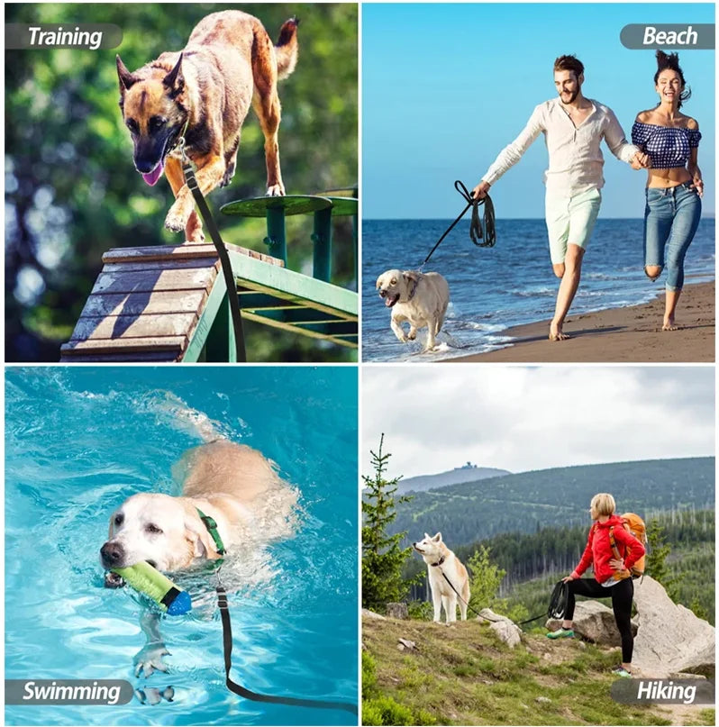 Long Nylon Pet Leash