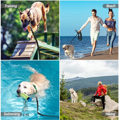 Long Nylon Pet Leash