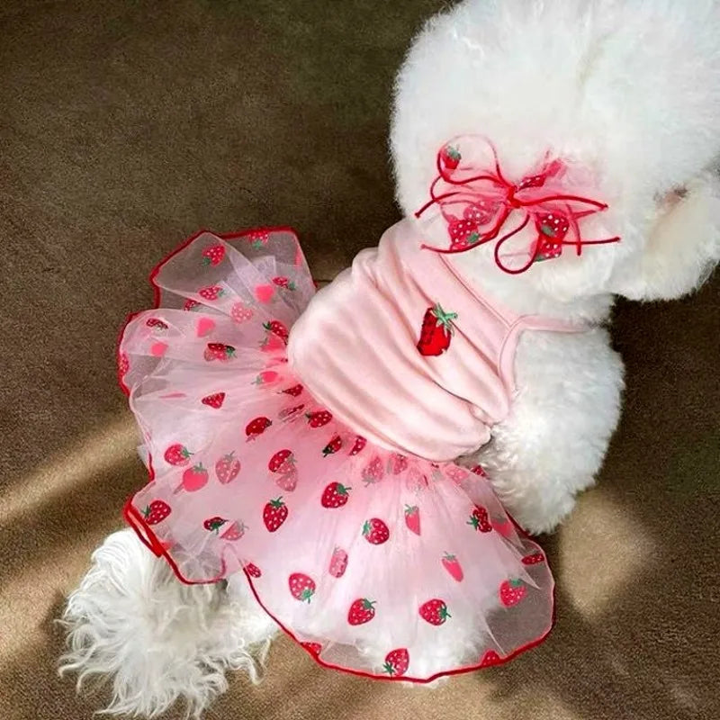 Luxury Dog Dress