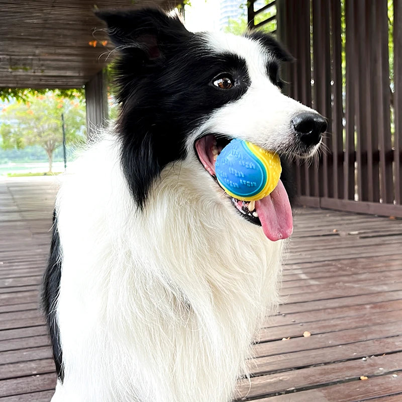 TPR Squeaky Dog Ball