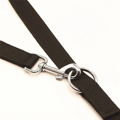Double End Dog Leash