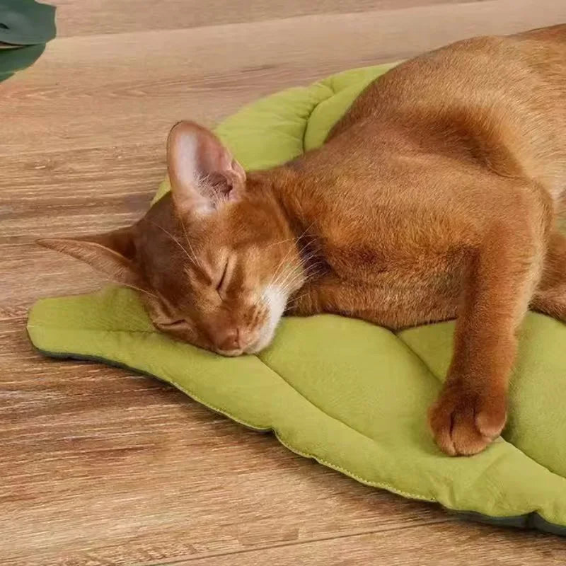 Leaf Pet Bed Mat