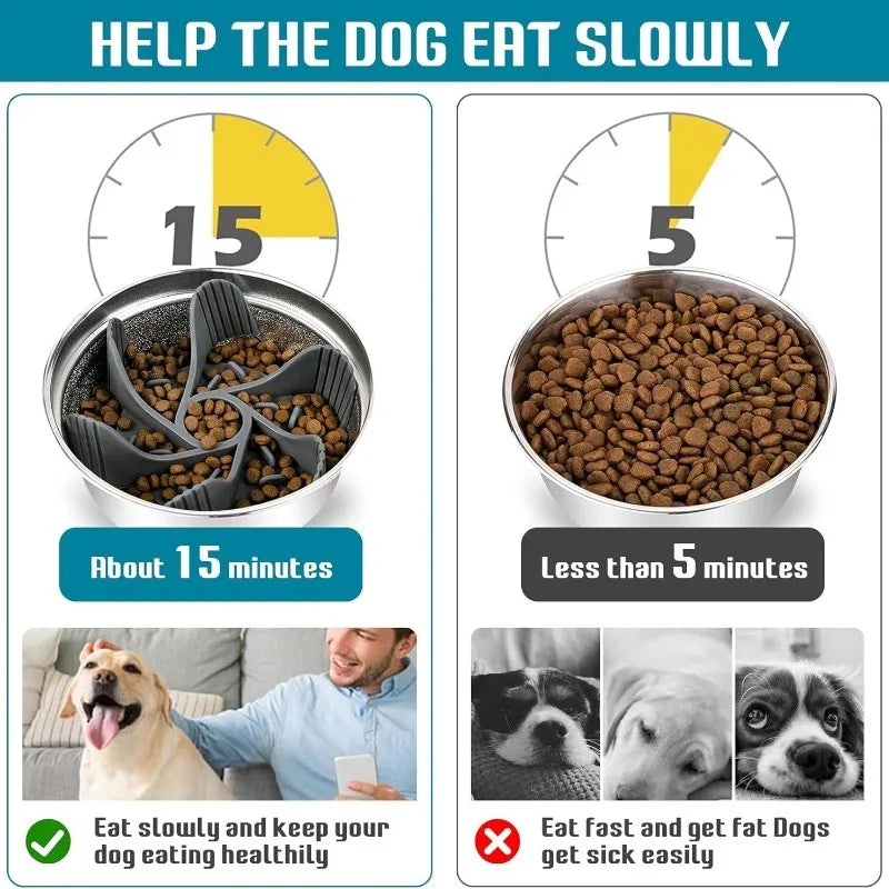 Slow Feed Pet Bowl