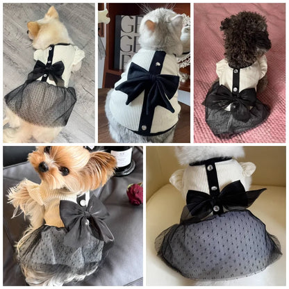 Luxury Dog Dress