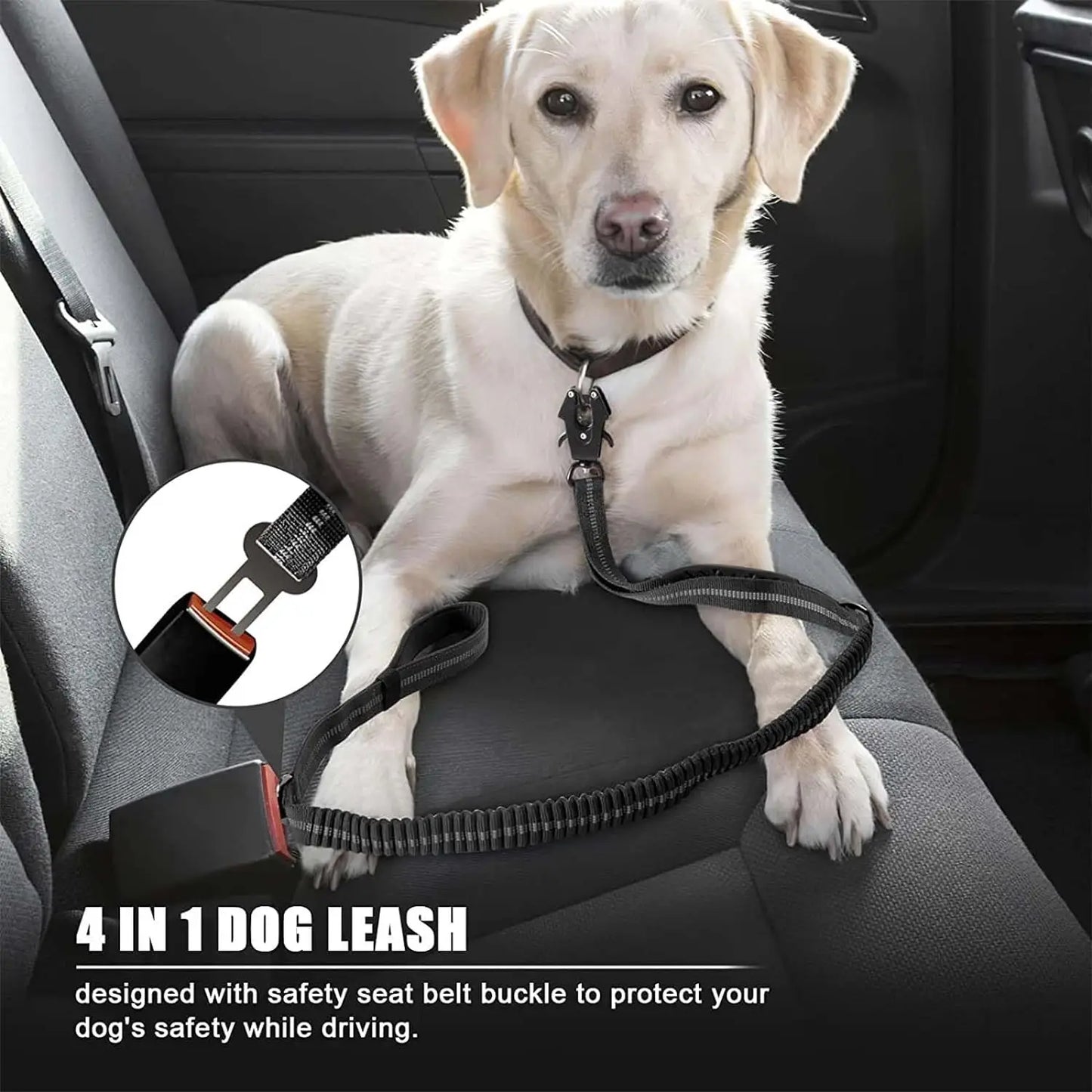 Tactical Bungee Dog Leash