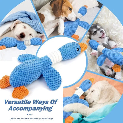Plush Squeaky Pet Toy