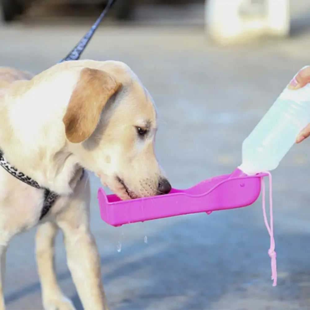 Portable Pet Water Bottle