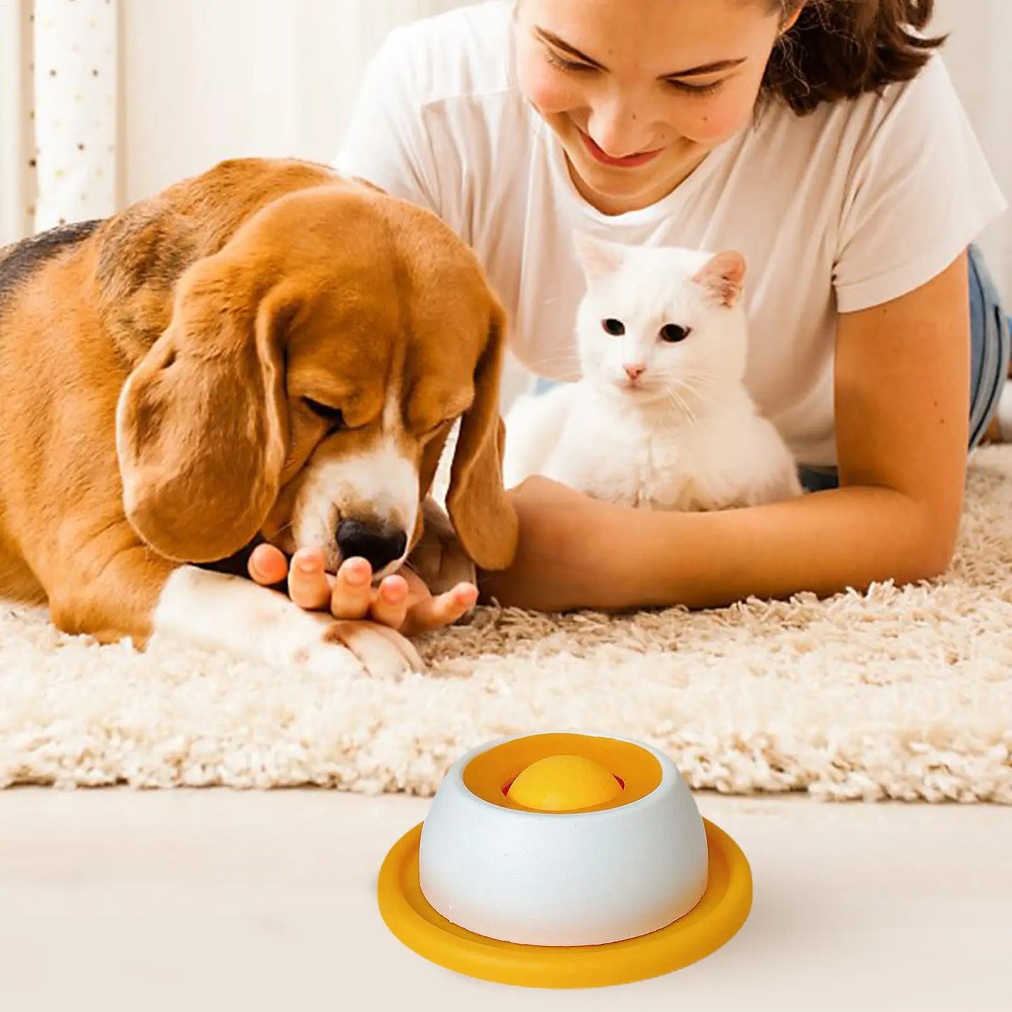 Pet Treat Puzzle Toy