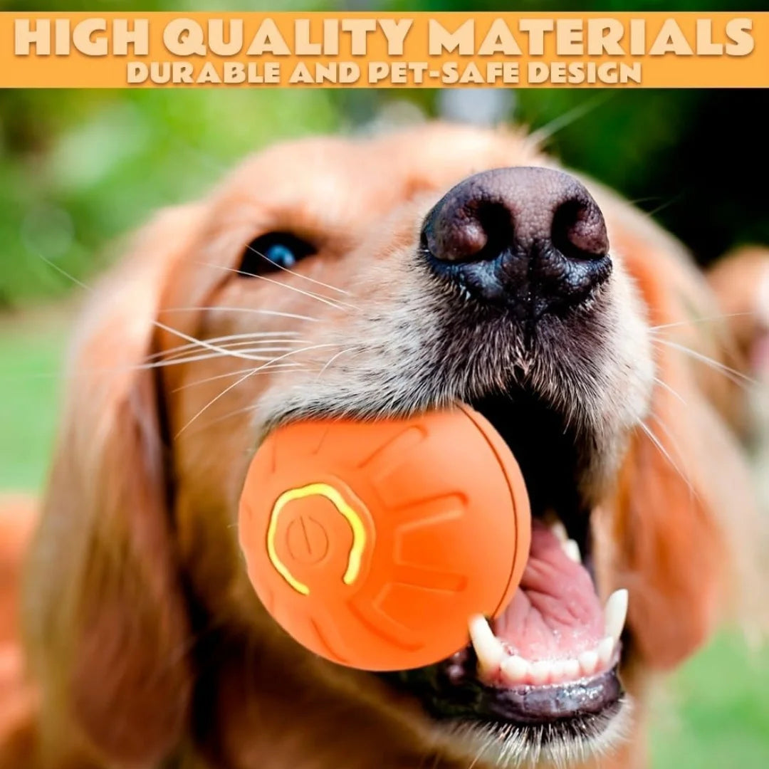 Smart Bouncing Pet Ball