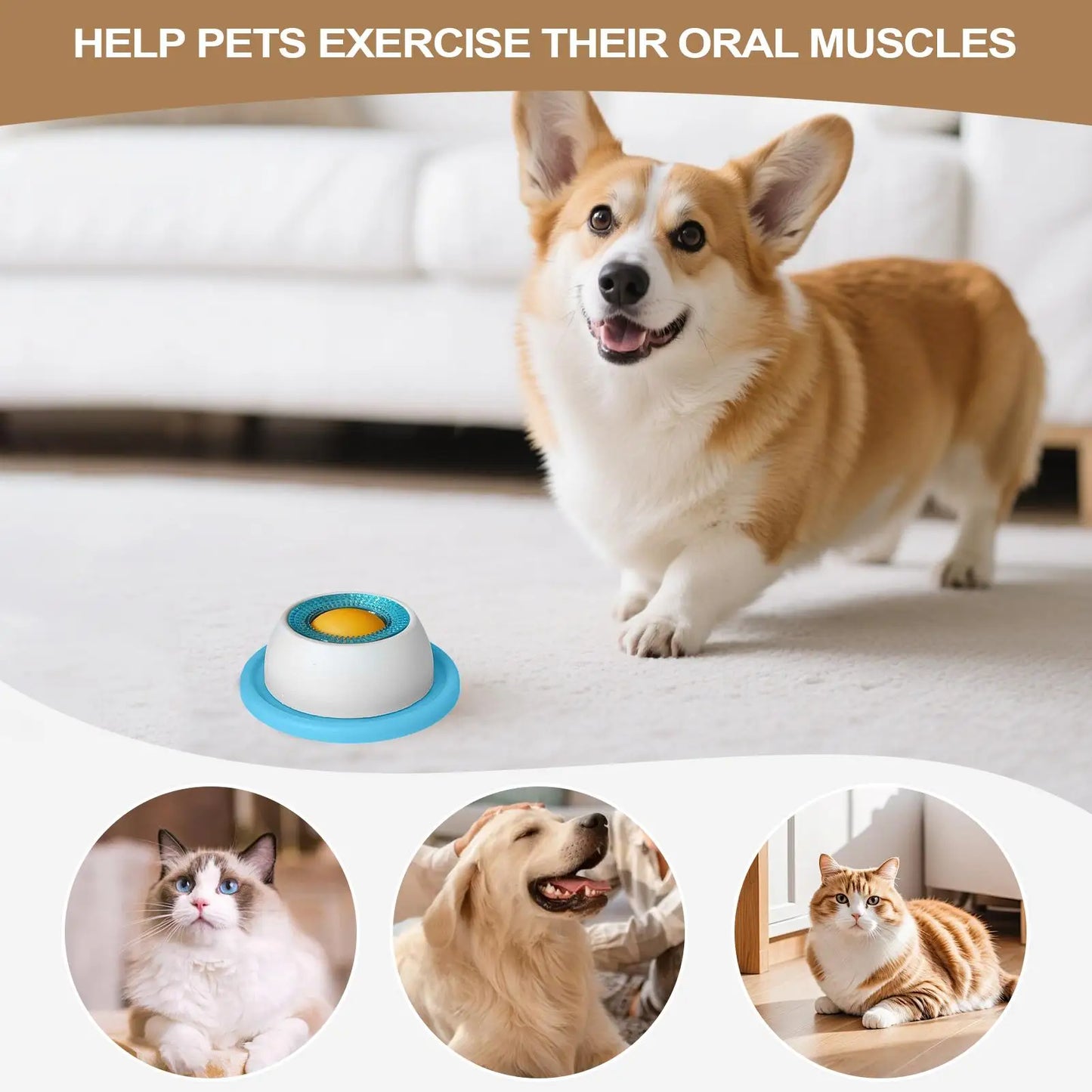 Pet Treat Puzzle Toy
