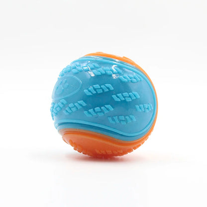 TPR Squeaky Dog Ball